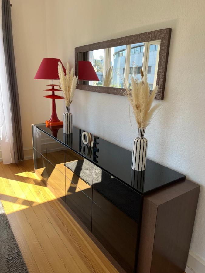 Appartement De Prestige Au Centre Climatise Avec Jardin Prive Colmar Exterior photo