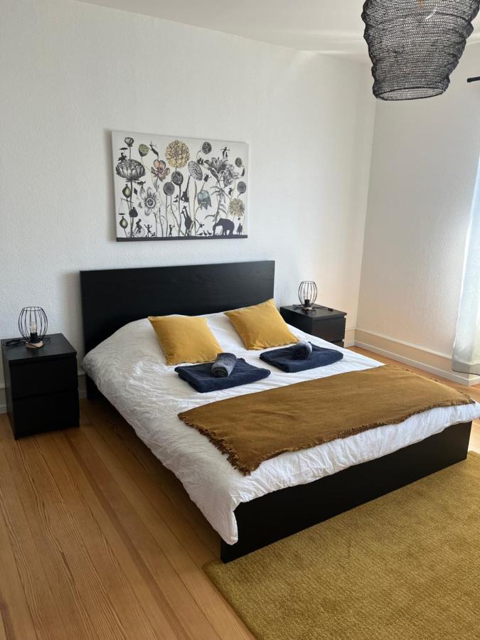 Appartement De Prestige Au Centre Climatise Avec Jardin Prive Colmar Exterior photo